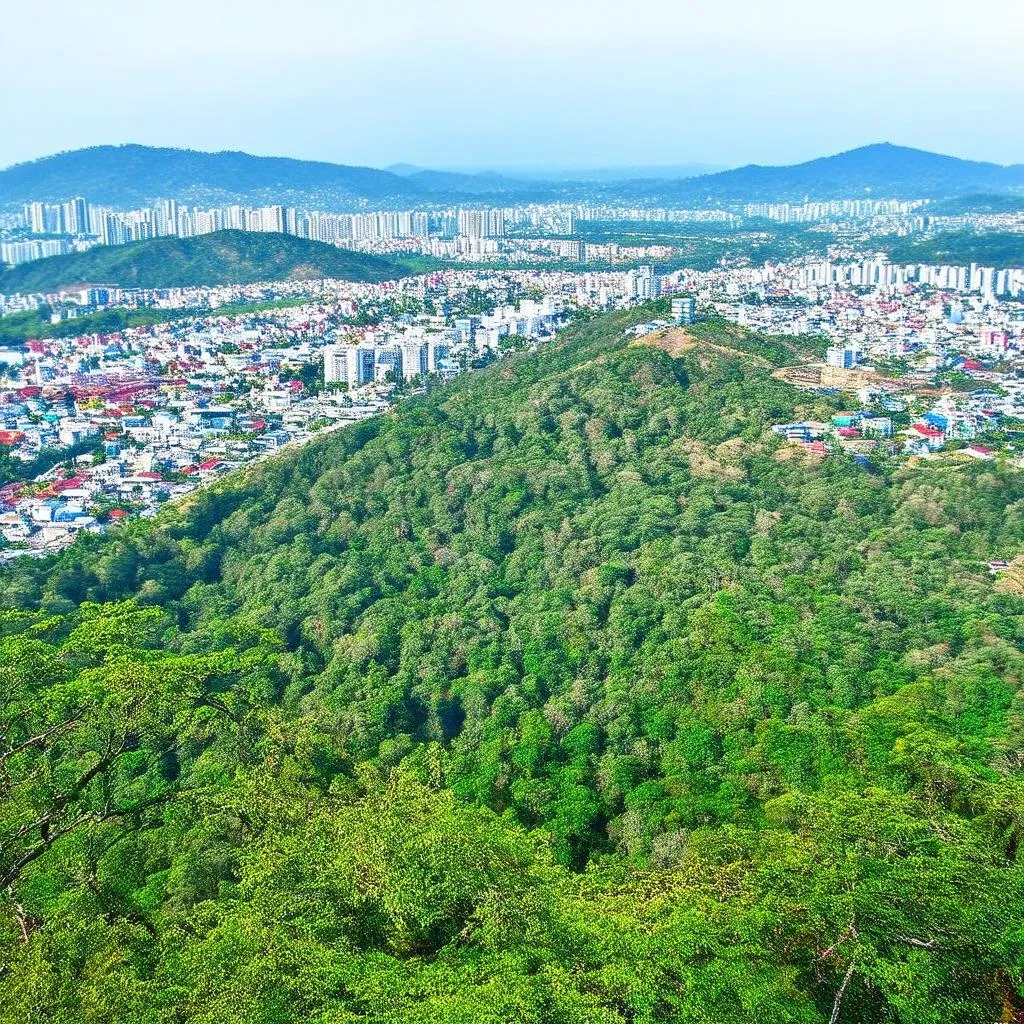 Đà Lạt - Thành phố ngàn hoa