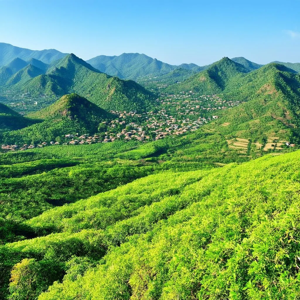 Gia Lai overview