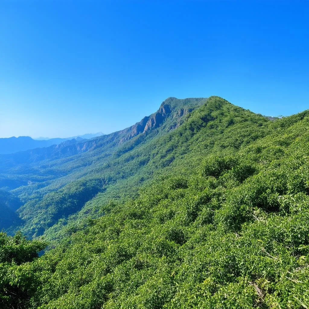 phong cảnh thiên nhiên