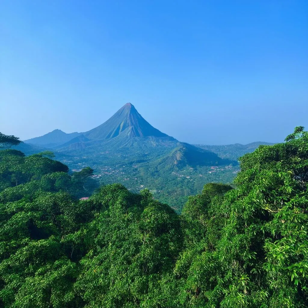 Du lịch núi Tam Đảo